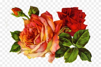 Декупаж Decoupage Roses On Pinterest - Red Roses Vintage Png