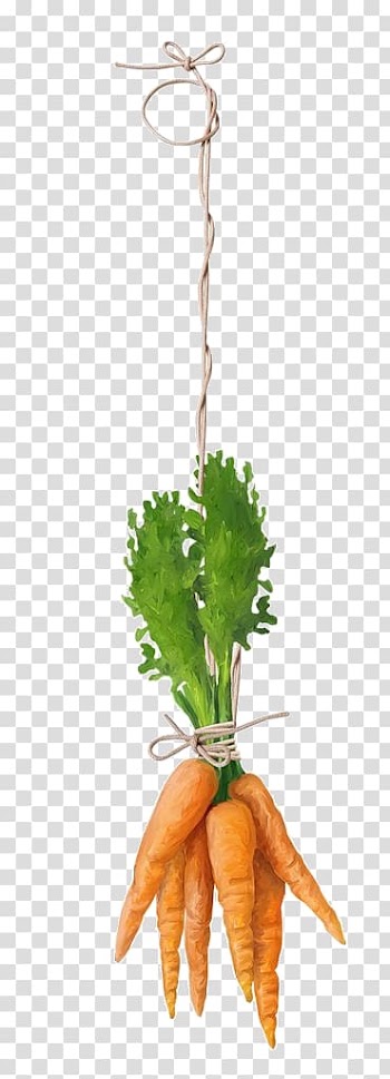 Decoupage Vegetable Painting Food, vegetable transparent background PNG clipart