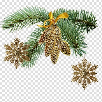 Ded Moroz Christmas New Year , christmas transparent background PNG clipart