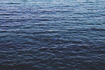 Deep Blue Sea
