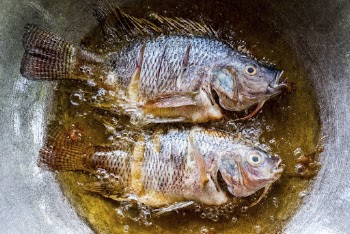 Deep frying fish in a pan. | Free Photo - rawpixel