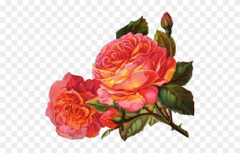 Deep Pink Rose Sil Si Edu Inconstant Beauty - Orange Rose Vintage Png