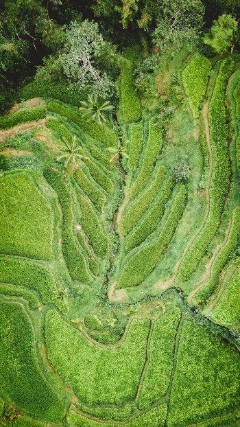 Deep ravine