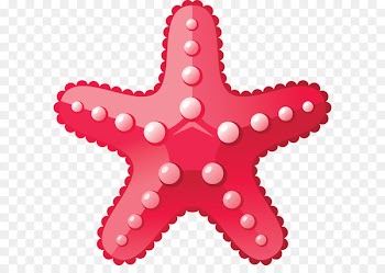 Deep sea creature Ocean Aquatic animal - Starfish PNG 