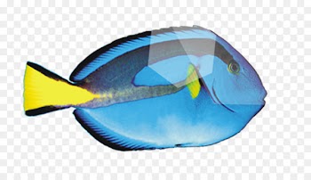 Deep sea fish Peces de mar - Cartoon blue deep sea fish 