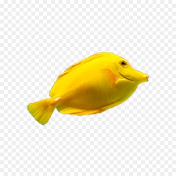 Deep sea fish Yellow - Yellow Fish 