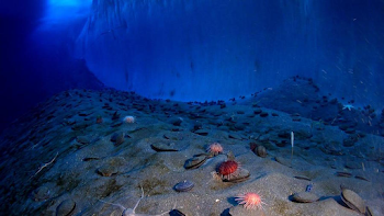 Deep-Sea Gold Miners Target PNG Coast | Papua New Guinea Mine Watch
