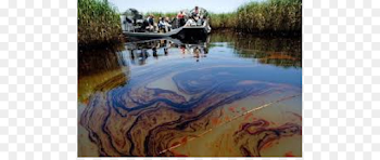 Deepwater Horizon oil spill Gulf of Mexico Petroleum - Oil Spill ...