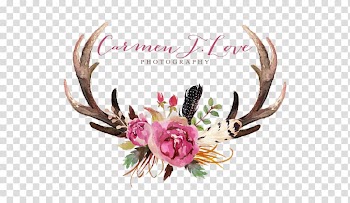 Deer Antler Floral design Flower Moose, deer transparent background PNG clipart