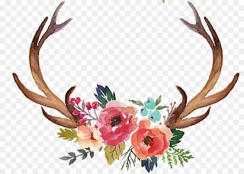 Deer Antler Flower Moose Clip art - Hand painted antlers 