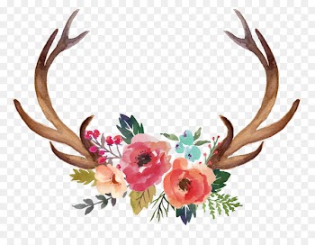 Deer Antler Moose Flower Clip art - Horn Flowers 