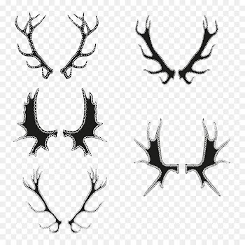 Deer Antler Portable Network Graphics Design - google images antlers 