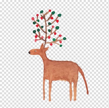 Deer Christmas, Orange deer transparent background PNG clipart
