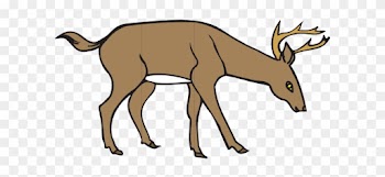 Deer Clipart Free Clip Art Images 2 Clipartcow - Deer Eating Grass Clipart
