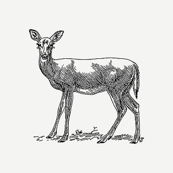 Deer collage element, black & | Free PSD - rawpixel