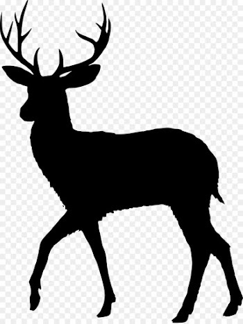 Deer, Fallow Deer, Reindeer PNG