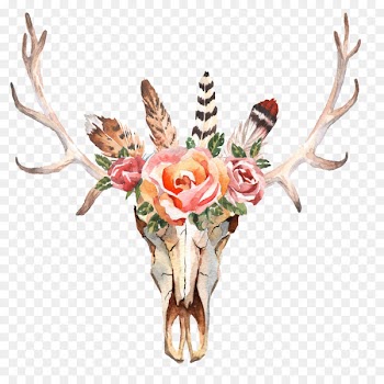 Deer Flower Skull Stock photography Horn - WATERCOLOR LEAF 