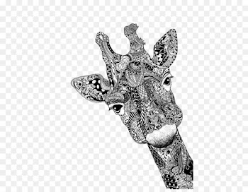 Deer Giraffe Drawing Animal Sketch - Black and white line art Deer 