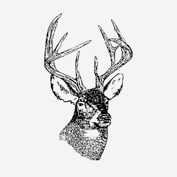 Deer head, animal clipart psd. | Free PSD Illustration - rawpixel