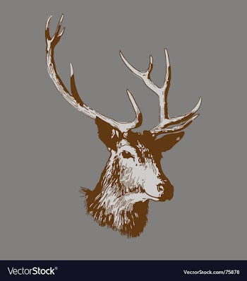 Deer head vector image