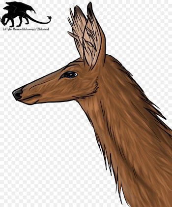 Deer, Horse, Mammal, Head, Wildlife PNG