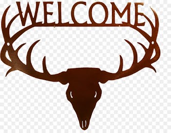 Deer, Moose, Antler, Horn, Elk PNG