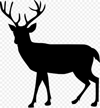 Deer, Moose, Reindeer, Mammal PNG