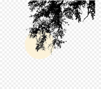 Deer Nature Wildlife Clip art - Shadow,Branches Moon 