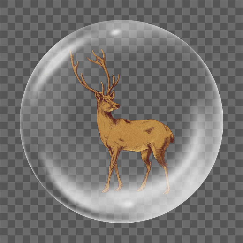 Deer png vintage animal sticker, | Free PNG - rawpixel