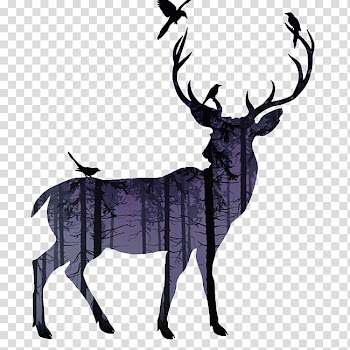 Deer silhouette, White-tailed deer Reindeer Moose Elk, deer transparent background PNG clipart