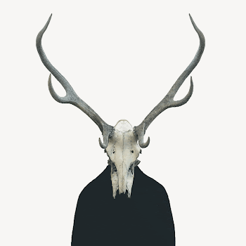 Deer skull collage element, animal | Free PSD - rawpixel