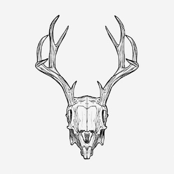 Deer skull drawing, vintage illustration. | Free Photo - rawpixel
