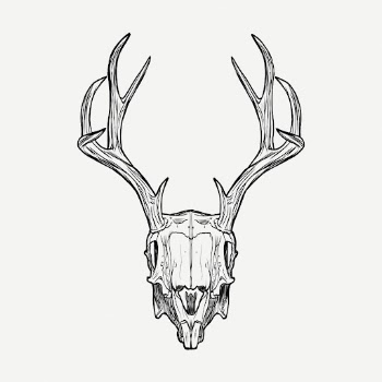 Deer skull drawing, vintage illustration | Free PSD - rawpixel