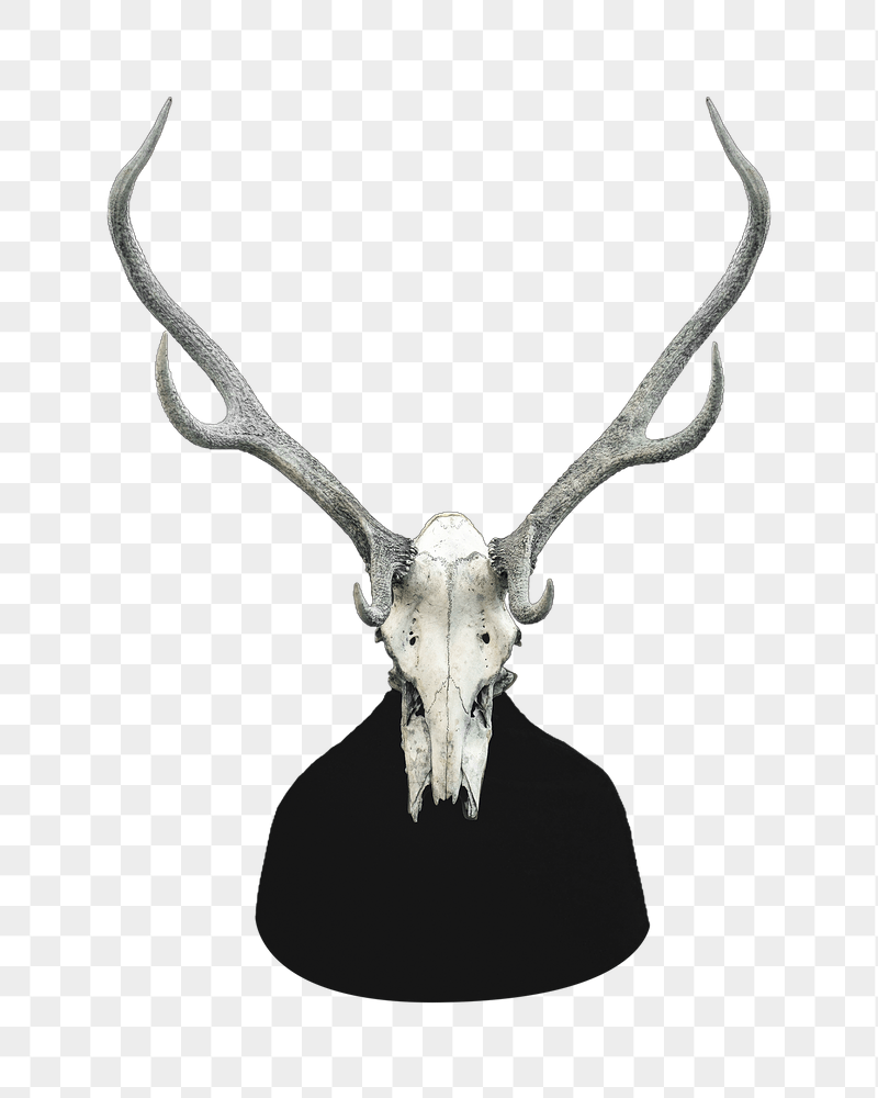 Deer skull png sticker, transparent | Free PNG - rawpixel