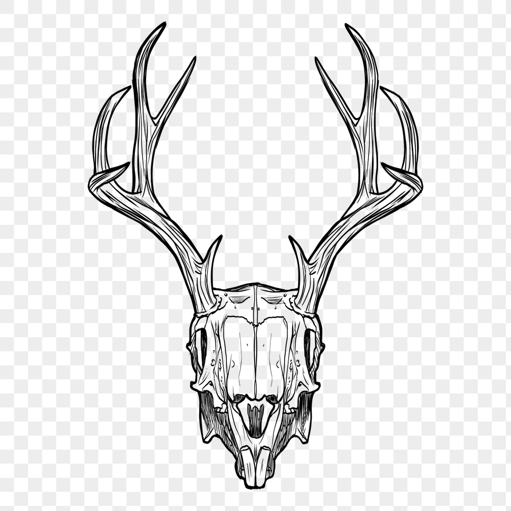 Deer skull png sticker, vintage | Free PNG - rawpixel