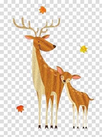 Deer transparent background PNG clipart
