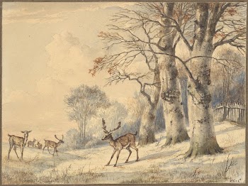 Deer under Beech Trees in Summer | Free Photo - rawpixel