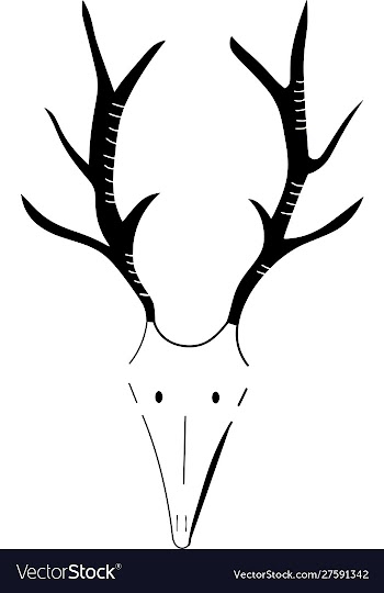 Deer vector image