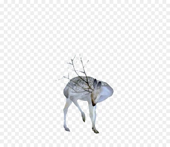 Deer Watercolor painting Drawing Art - Watercolor deer fresh material 