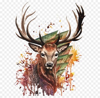 Deer Watercolor painting Drawing - Vector watercolor deer 