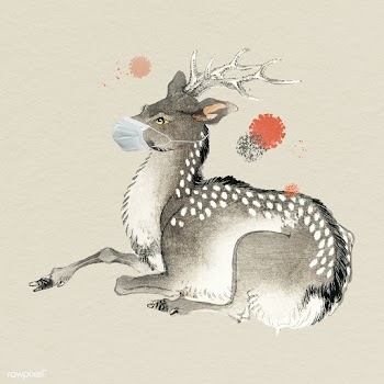 Deer wearing a surgical mask during the coronavirus pandemic | Free  illustration - 2318590