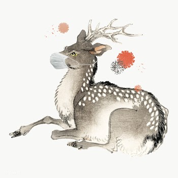 Deer wearing a surgical mask during the coronavirus pandemic | Free  transparent png - 2318588