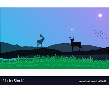 Deers in mountain view vector image
