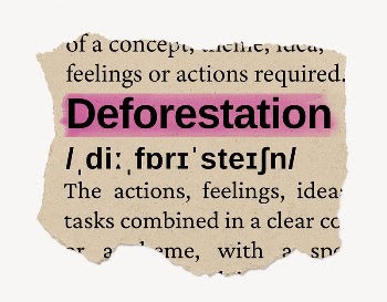 Deforestation ripped dictionary, editable word | Free PSD - rawpixel