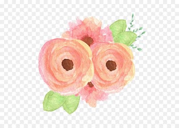 Deidre Caswell Photography Flower bouquet Clip art - peach flowers 