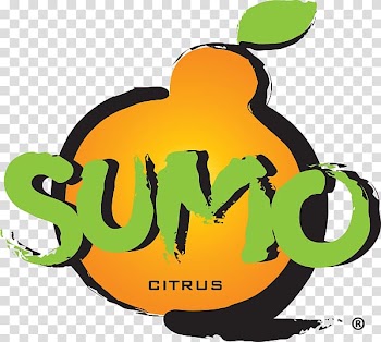 Dekopon Fruit Tangerine Sumo Orange, SUMO transparent background PNG clipart