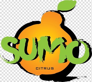 Dekopon Satsuma Mandarin Orange Tangerine Kiyomi, Sumo transparent background PNG clipart