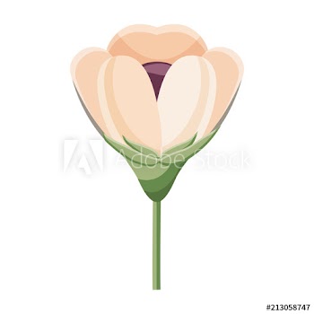 delicate decorative natural ornate flower