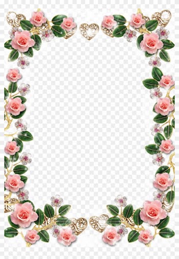 Delicate Floral Jewelries And Pink Roses Picture Frame - Rose Flower Frame