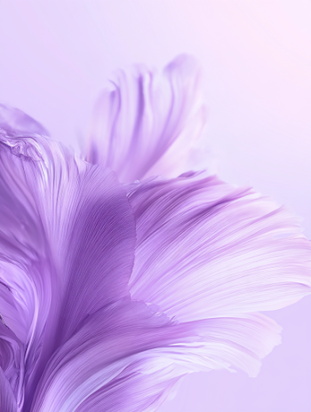 Delicate Lavender Petals in Liquid